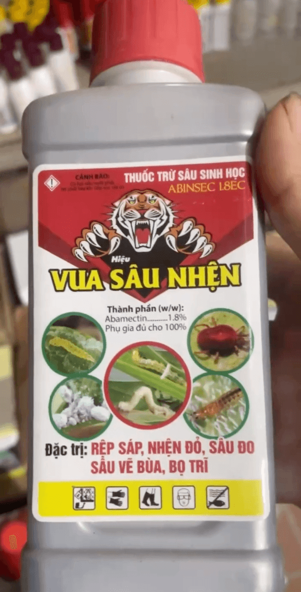 Vua sâu nhện