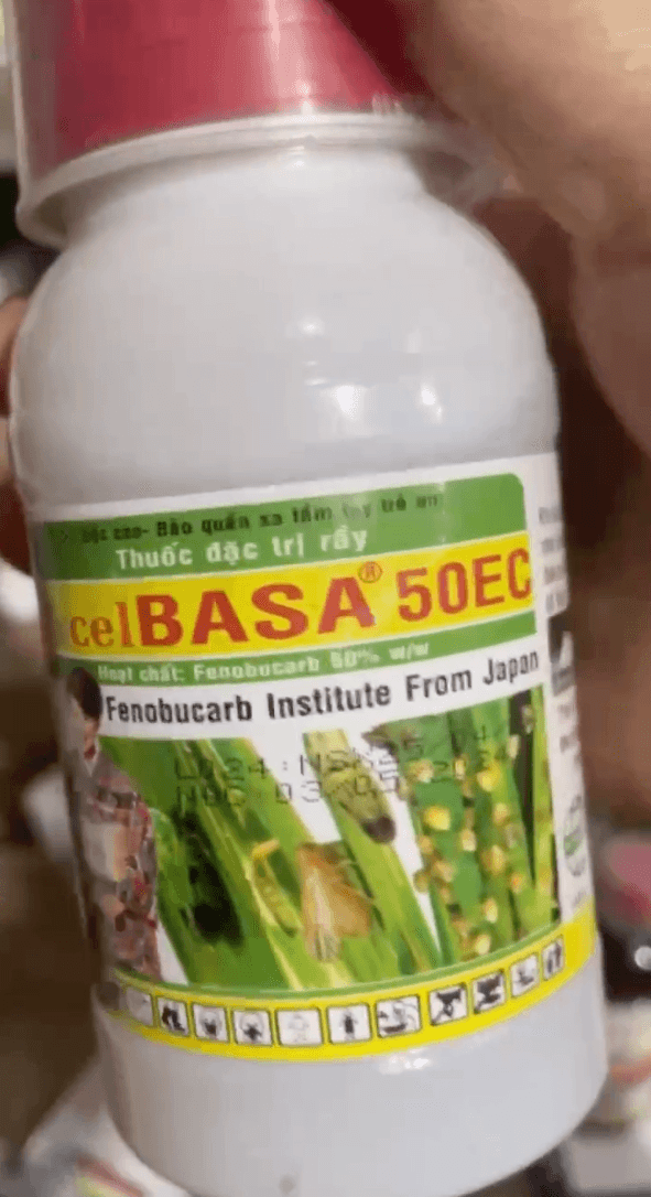 Excel Basa 50EC