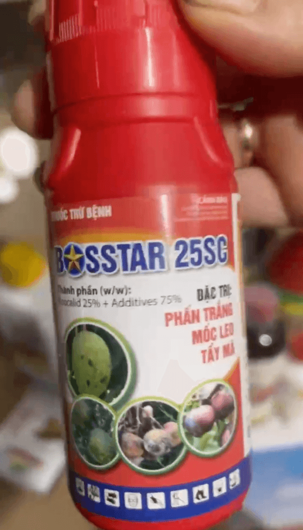 Bosstar 25SC