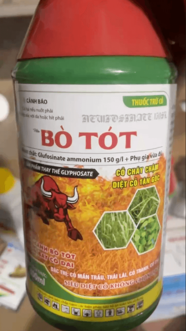 Bò Tót