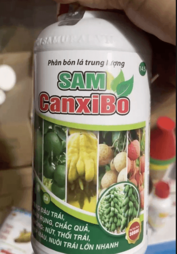 Sam CanxiBo