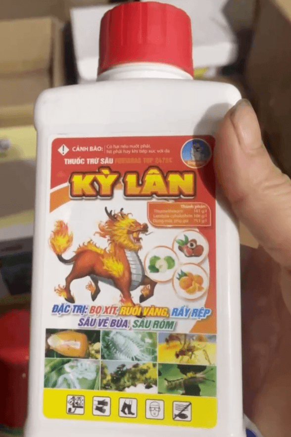 Kỳ Lân