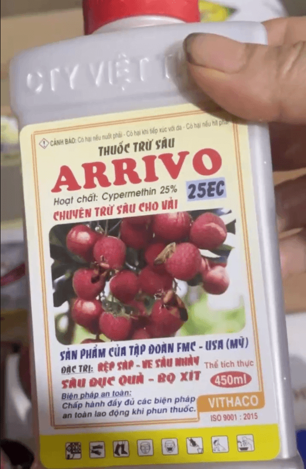 Arrivo 25EC