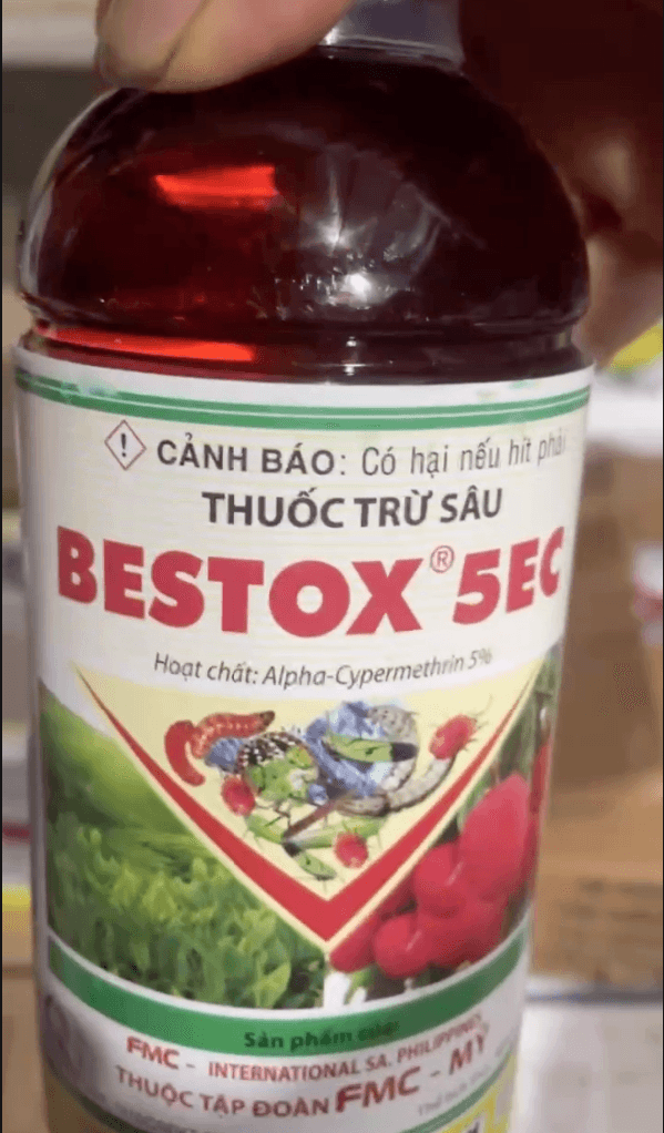 Bestox 5EC